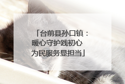台前县孙口镇：暖心守护践初心 为民服务显担当